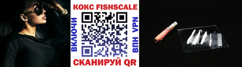 мега как войти  Каменногорск  КОКАИН Fish Scale 