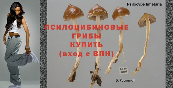 дмт Видное