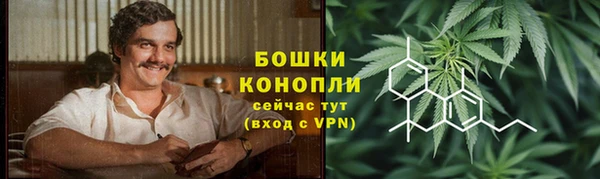 прущая мука Каменка