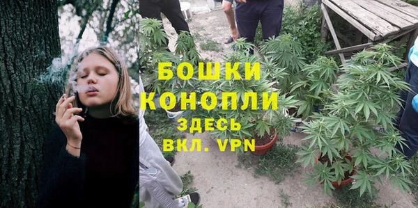 прущая мука Каменка