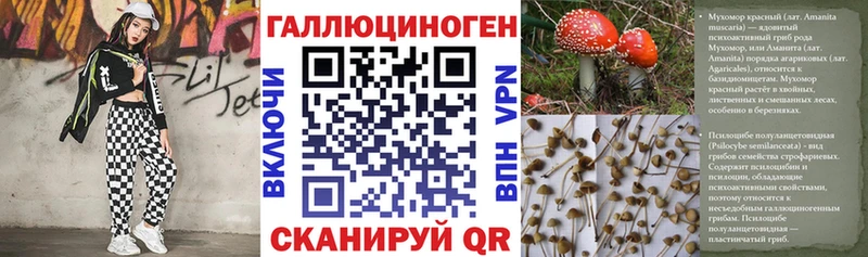 Псилоцибиновые грибы Psilocybe  купить наркотики сайты  Каменногорск 
